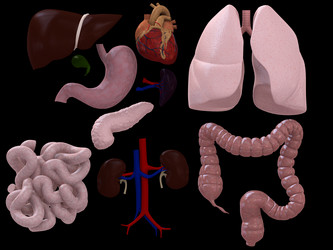 Similar image 8189856