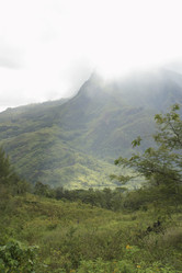 Similar image 8189861