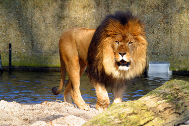 Similar image 8189871