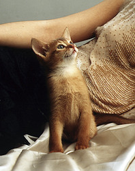 Similar image 8189875