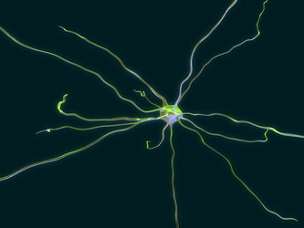 Similar image 8189885