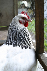 Similar image 8189894