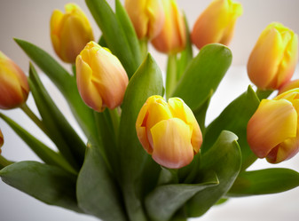 Similar image 8189914