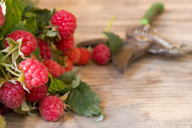 Similar image 8190003