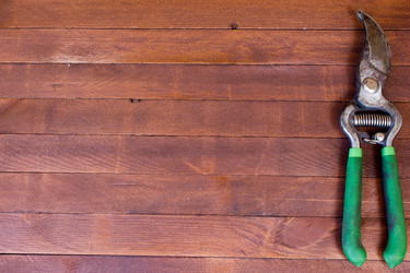 Similar image 8190004