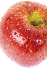 Similar image 8190028