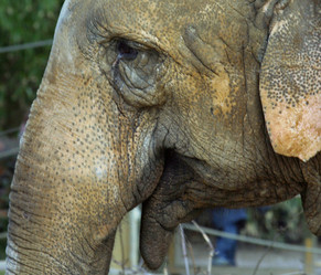 Similar image 8190058