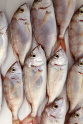 Similar image 8190106