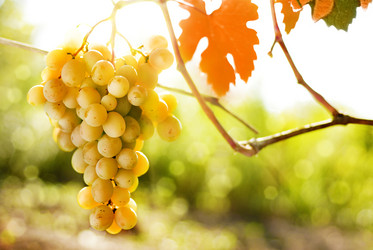 Similar image 8190125