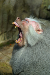 Similar image 8190136