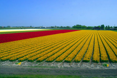 Similar image 8190162