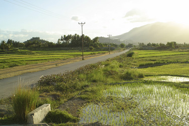 Similar image 8190207