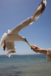 Similar image 8190219