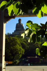 Similar image 8190250