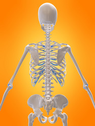 Similar image 8190258