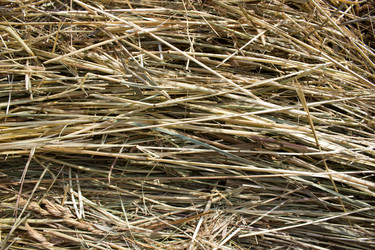 Similar image 8190297