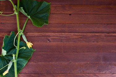 Similar image 8190299