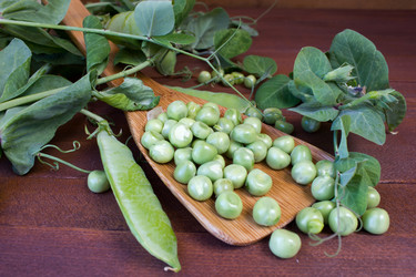 Similar image 8190301