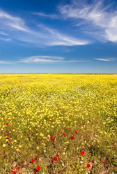 Similar image 8190330