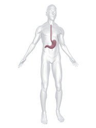 Similar image 8190331