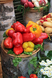 Similar image 8190338