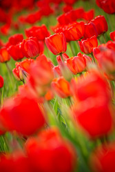 Similar image 8190363