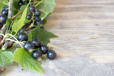 Similar image 8190400