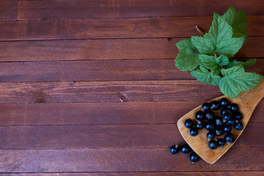 Similar image 8190401