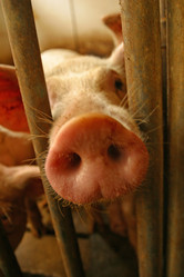 Similar image 8190492