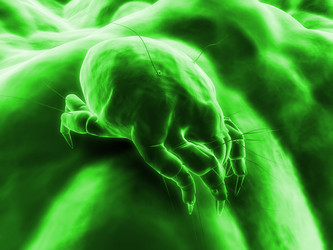 Similar image 8190540