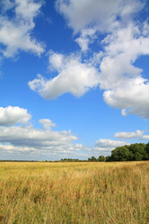 Similar image 8190541