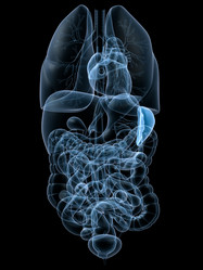 Similar image 8190555