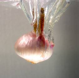 Similar image 8190573