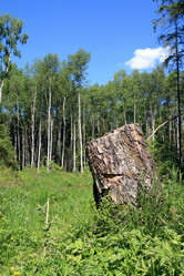 Similar image 8190583