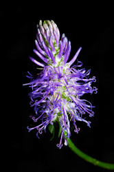 Similar image 8190677