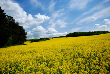 Similar image 8190688