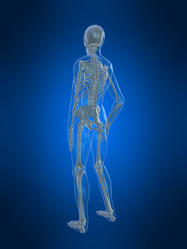 Similar image 8190691