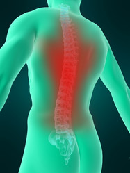 Similar image 8190700