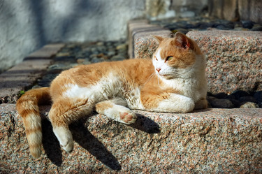 Similar image 8190704