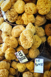 Similar image 8190734