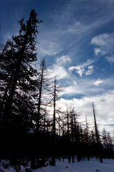 Similar image 8190743