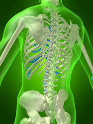 Similar image 8190759