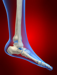 Similar image 8190769