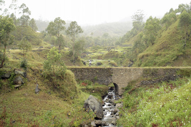 Similar image 8190771