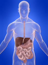 Similar image 8190883