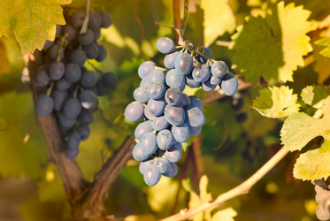 Similar image 8190889