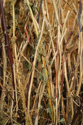 Similar image 8190911