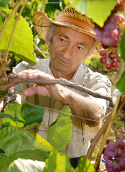 Similar image 8190913