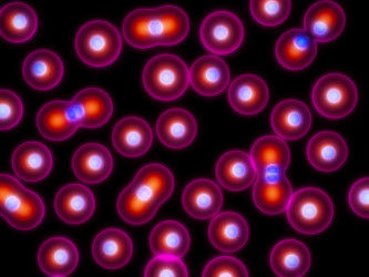 Similar image 8190953