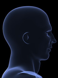 Similar image 8191000